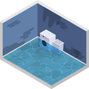 Leaked Basements