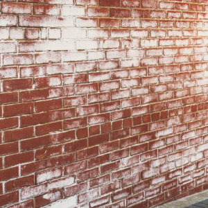 Efflorescence