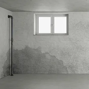 Leaked Basements