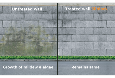 Diagram showing untreated wall vs treated wall and mildew growth