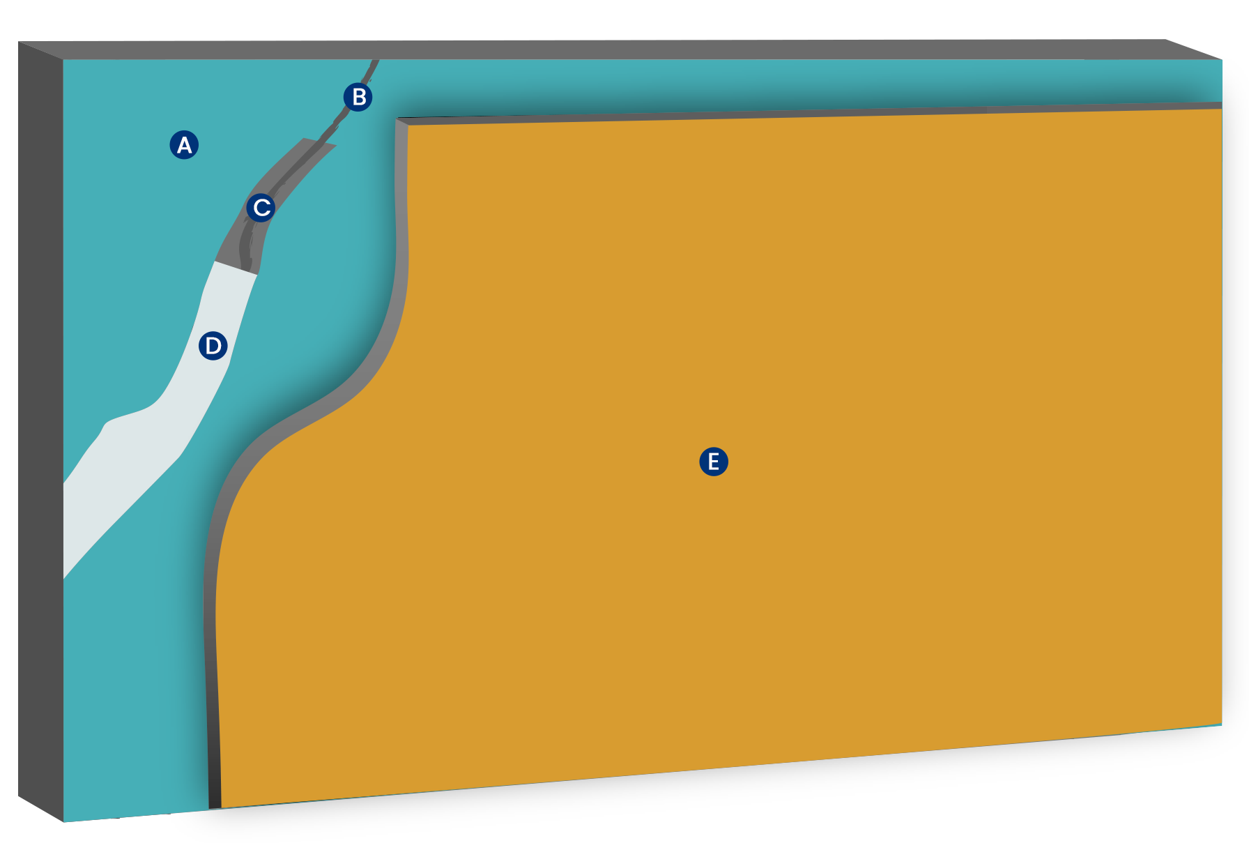 Illustration of waterproofing process with concrete and trees